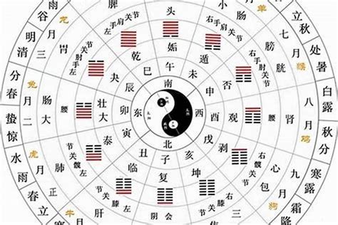 生肖 天干|天干地支五行对照表